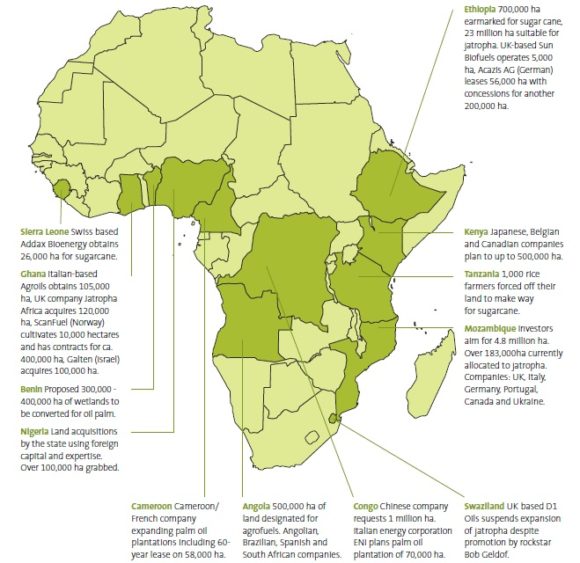 Biotreibstoffe Ethanol Landkauf in Afrika Anbauflächen Friedns of the Earth