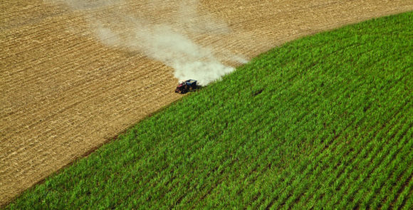 Biosprit: Entstehen von Monokulturen in den USA Zuckerrohr Ethanol
