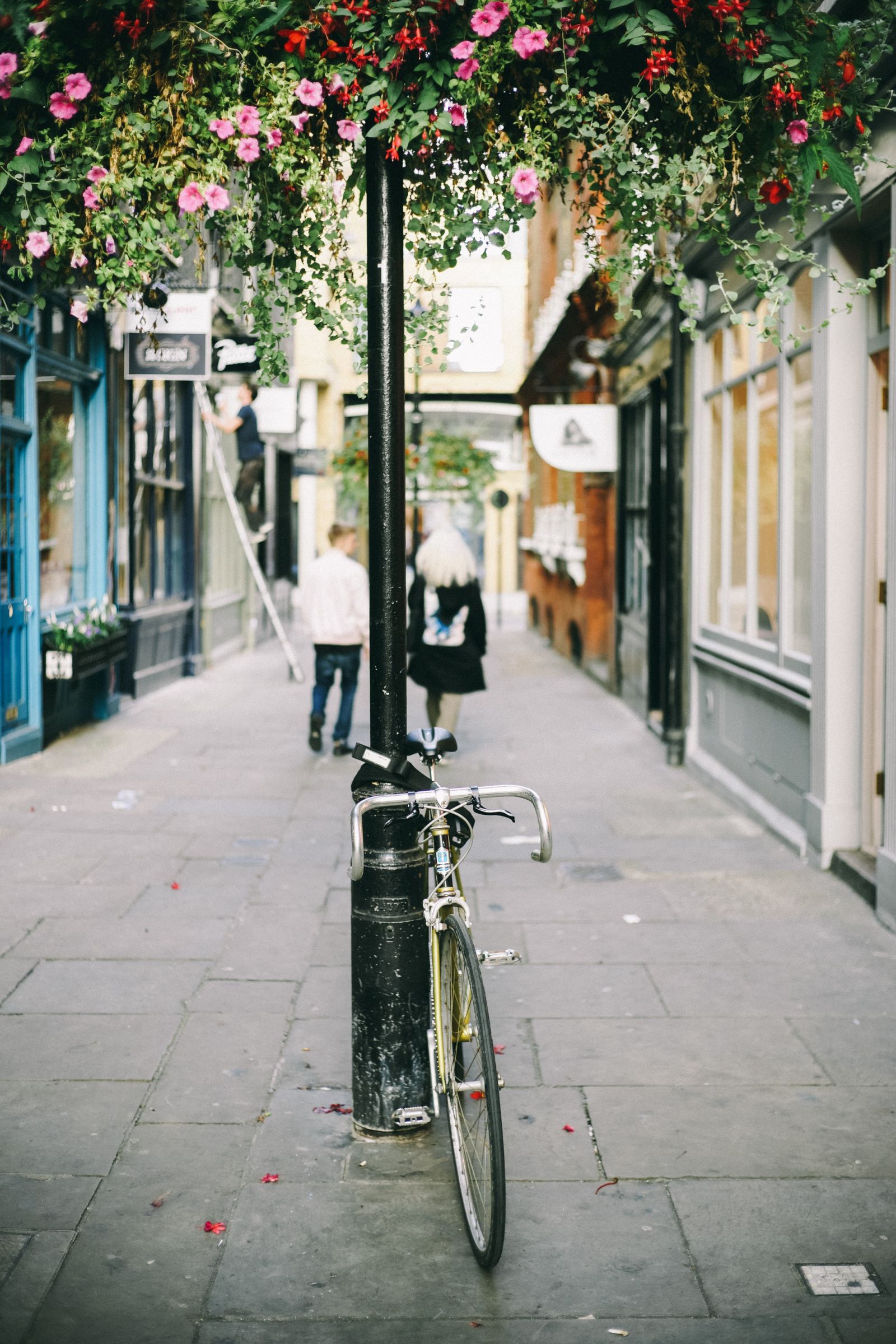 Radverkehr Fotografie London Blumenschmuck