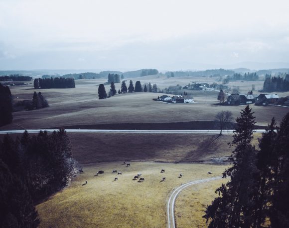 Ländlicher Raum Wald Feld Kühe Straßennetz Land Wald Deutschland