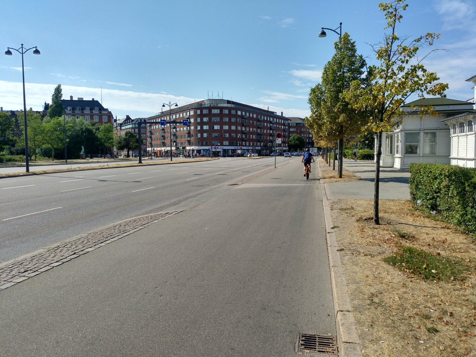 Kopenhagen Radweg Gyldenløvesgade