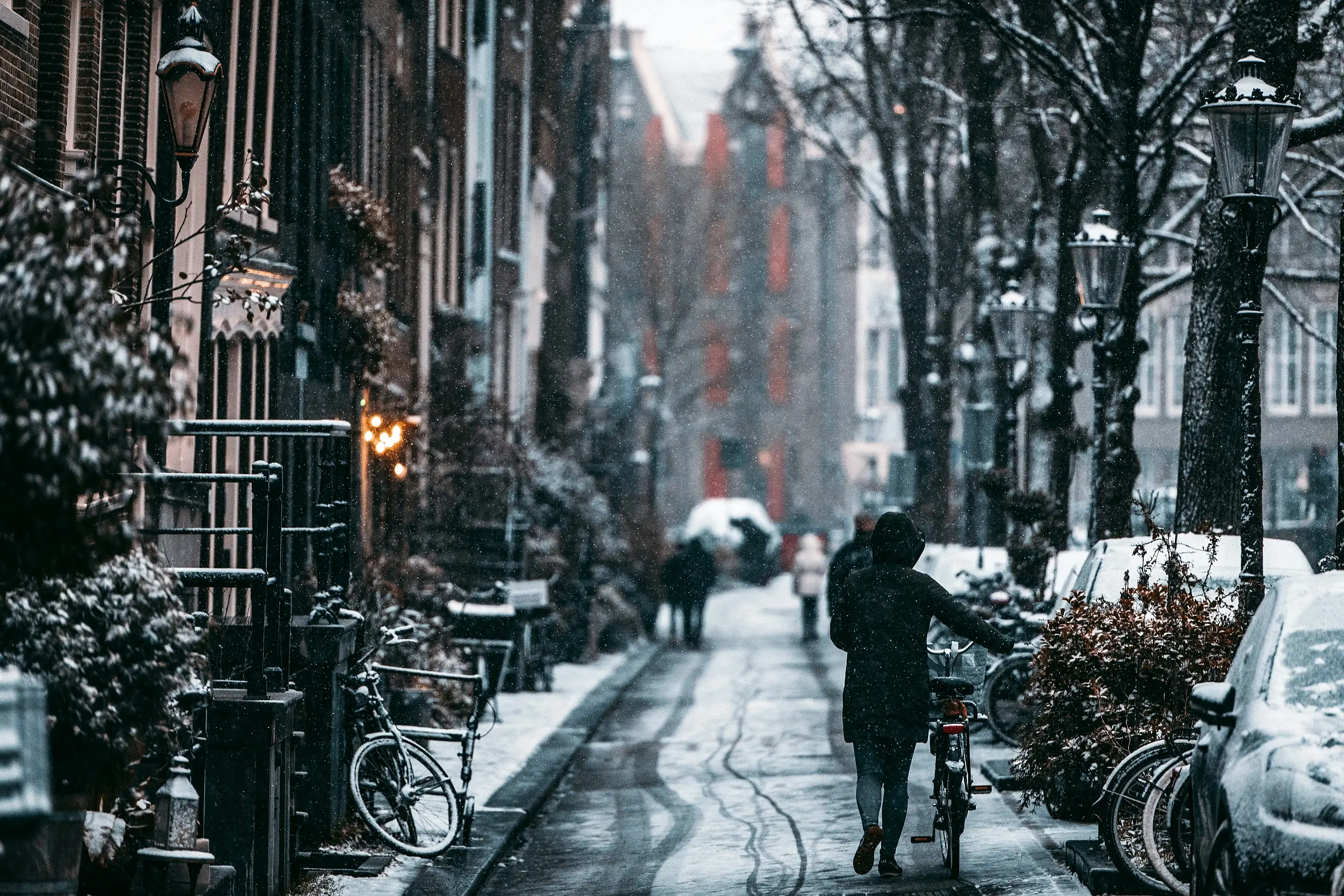 News- und Diskussionsfaden Dezember 2025