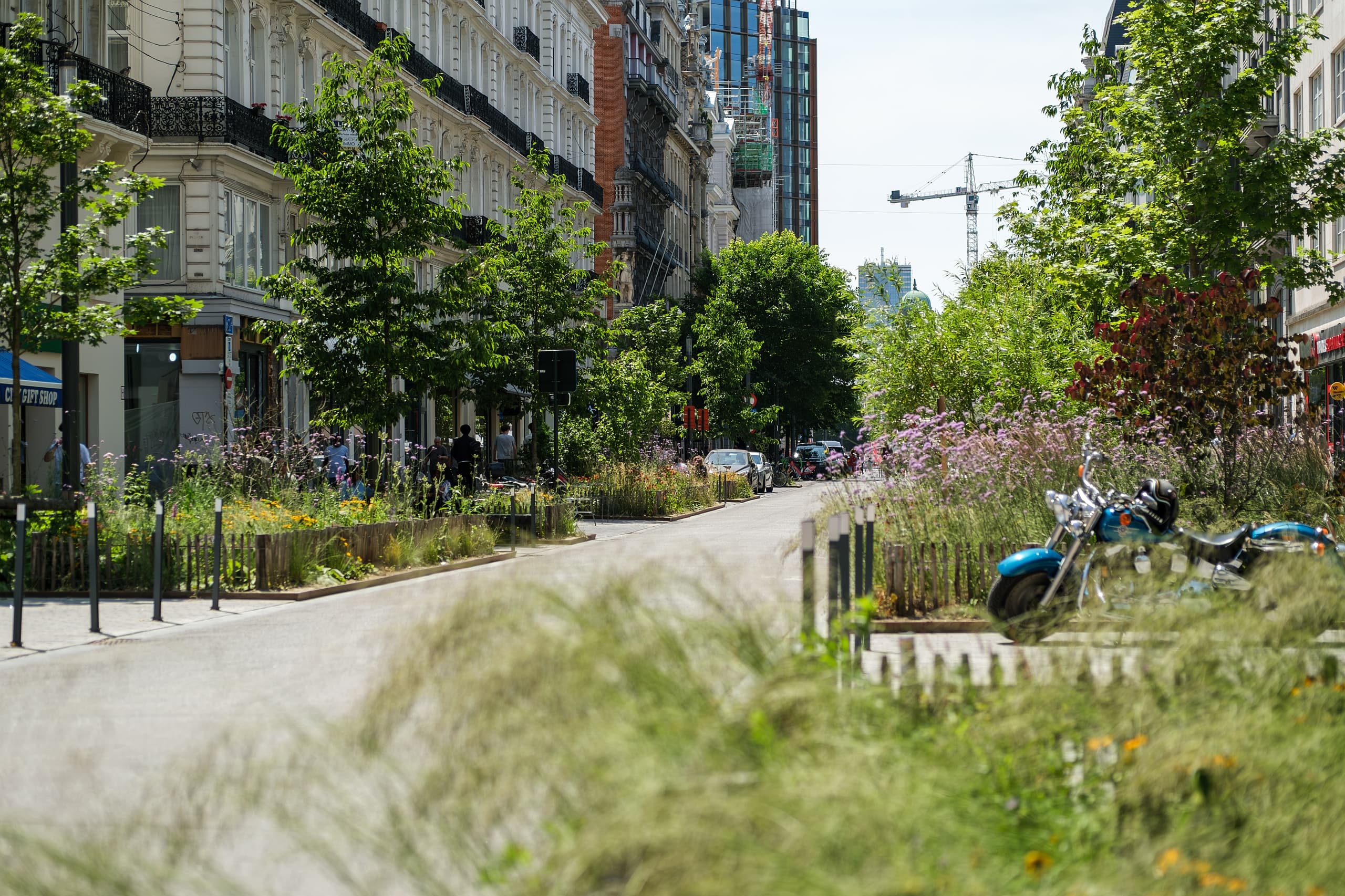 Brüssel grün Straßenumbau Boulevard Adolphe Max